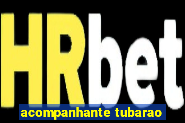 acompanhante tubarao